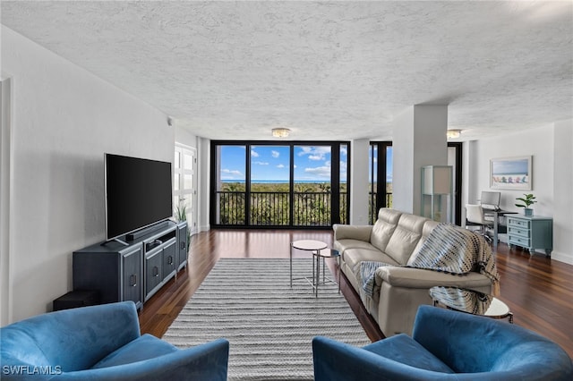 living room featuring floor to ceiling windows and dark wood-type flooring