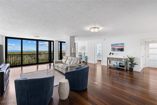 living room featuring a textured ceiling, expansive windows, and dark wood-type flooring