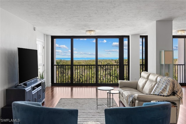 living room with hardwood / wood-style floors, a textured ceiling, and a healthy amount of sunlight