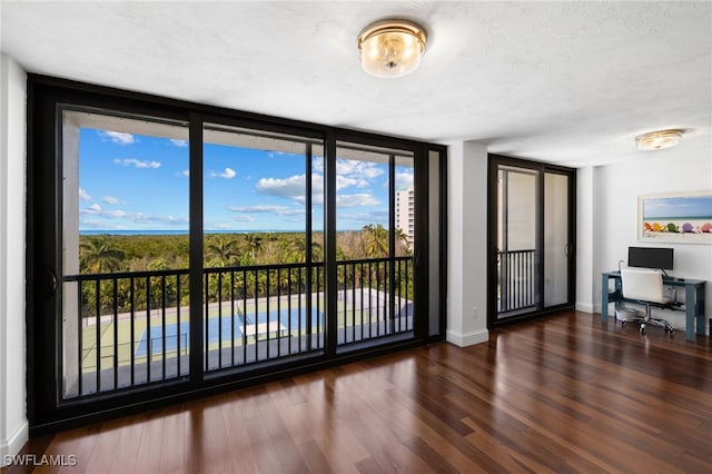 interior space featuring dark hardwood / wood-style floors and expansive windows