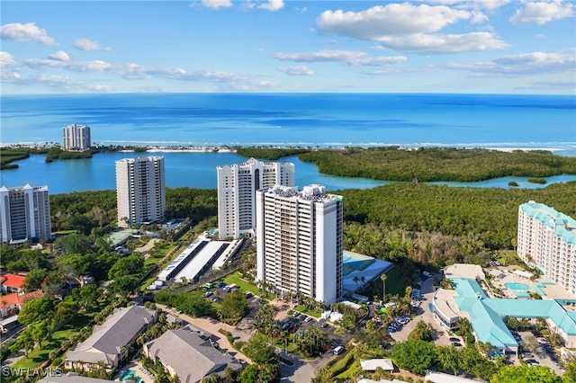 aerial view with a water view