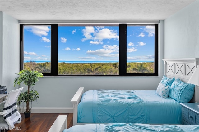 bedroom with hardwood / wood-style flooring, a textured ceiling, and multiple windows