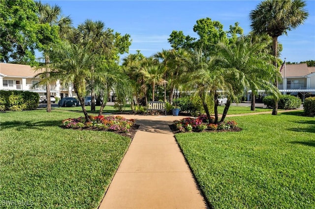 view of property's community with a yard