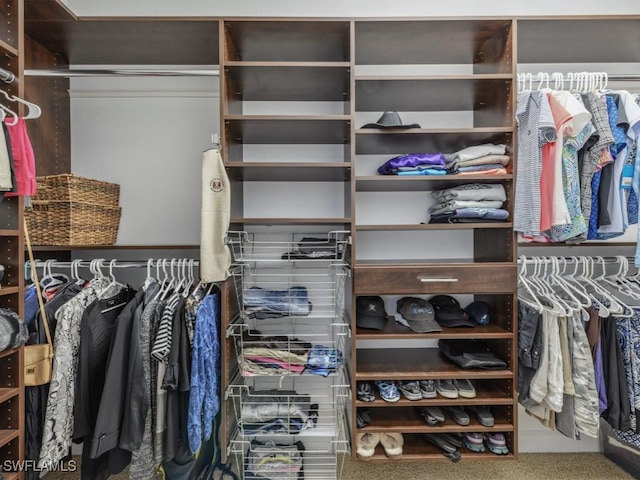 spacious closet featuring carpet