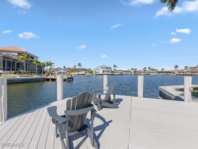 dock area with a water view