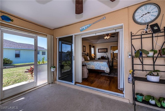 doorway featuring carpet flooring, ceiling fan, and a wealth of natural light