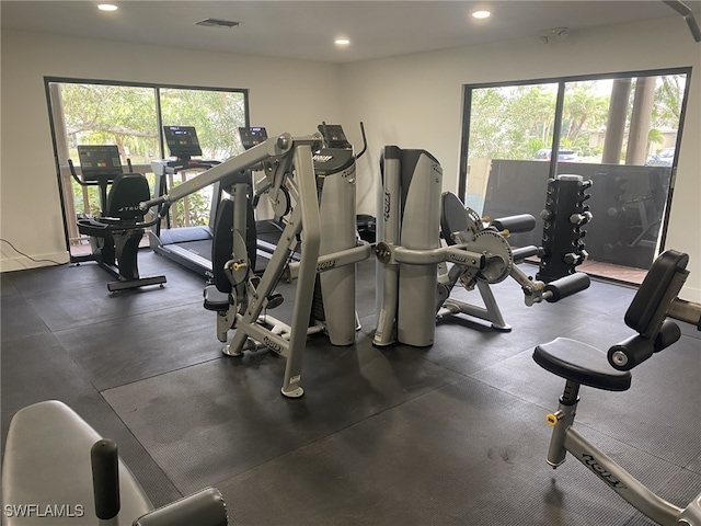 exercise room with a wealth of natural light