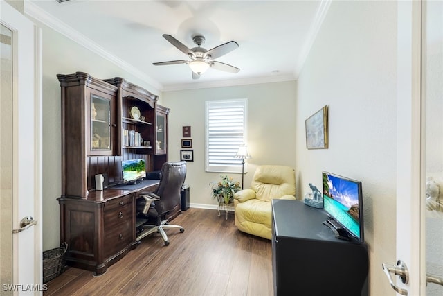 office with ceiling fan, dark hardwood / wood-style flooring, and crown molding