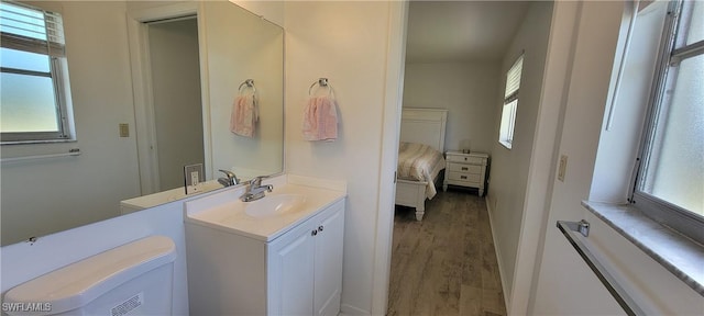 bathroom with hardwood / wood-style floors, vanity, and a wealth of natural light