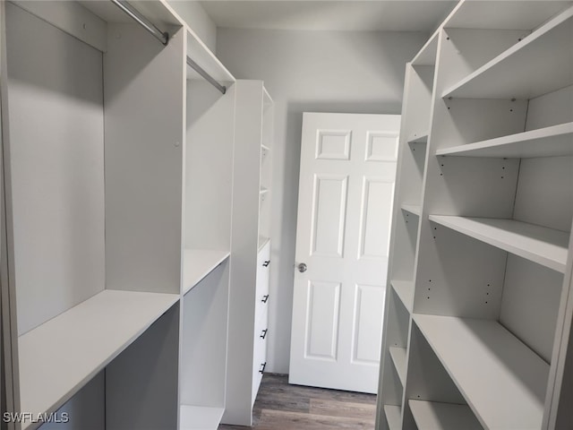 walk in closet with dark hardwood / wood-style floors