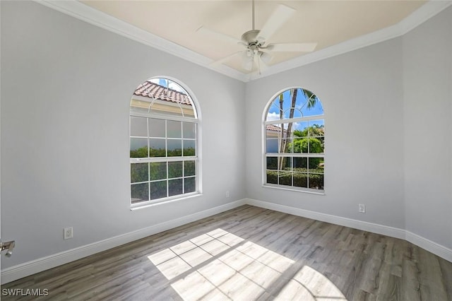 spare room featuring wood finished floors, baseboards, and a wealth of natural light