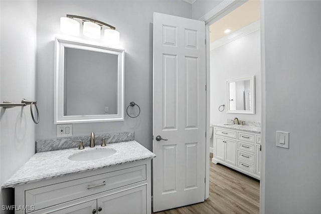 bathroom featuring wood finished floors, two vanities, and a sink