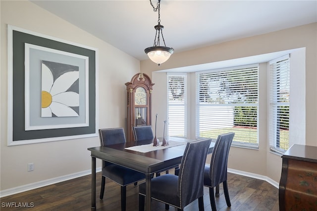 dining room with dark hardwood / wood-style flooring and vaulted ceiling