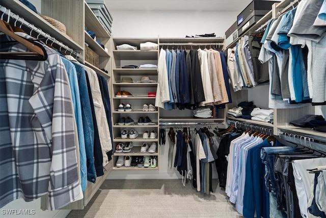 spacious closet featuring carpet