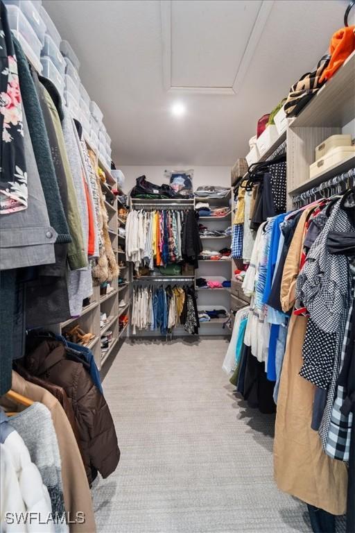 spacious closet with light carpet