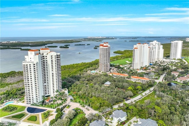 drone / aerial view featuring a water view