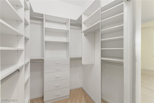 view of spacious closet