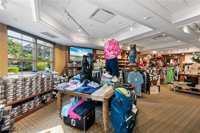 interior space with light carpet, track lighting, and a tray ceiling