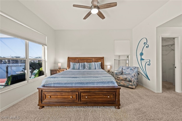 bedroom featuring a walk in closet, light carpet, ceiling fan, and a closet