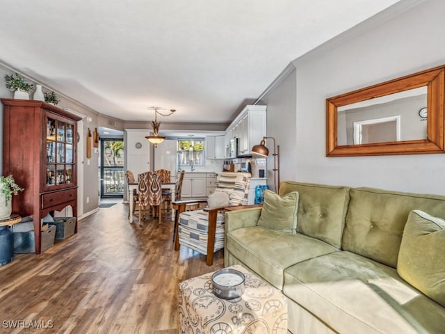 living room featuring hardwood / wood-style floors and ornamental molding