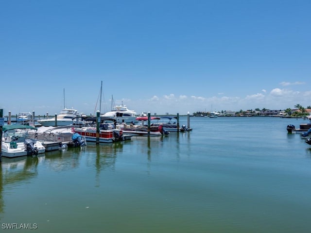 dock area with a water view