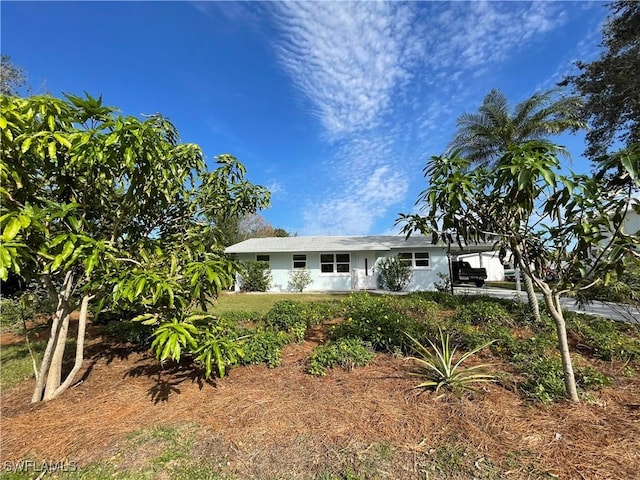 view of ranch-style house