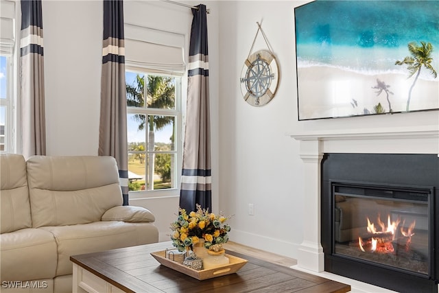 3967 Skyway Dr Unit 14, Naples, FL 34112 - living room featuring wood finished floors, a glass covered fireplace, and baseboards