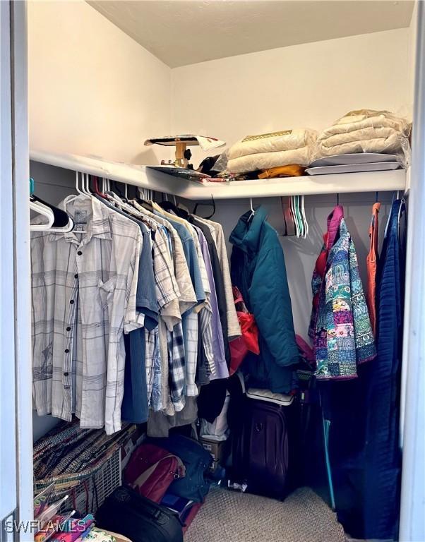 spacious closet featuring carpet