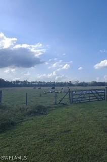 view of yard featuring a rural view