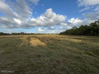 view of landscape with a rural view