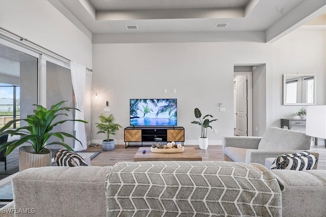 living room with hardwood / wood-style flooring and a raised ceiling