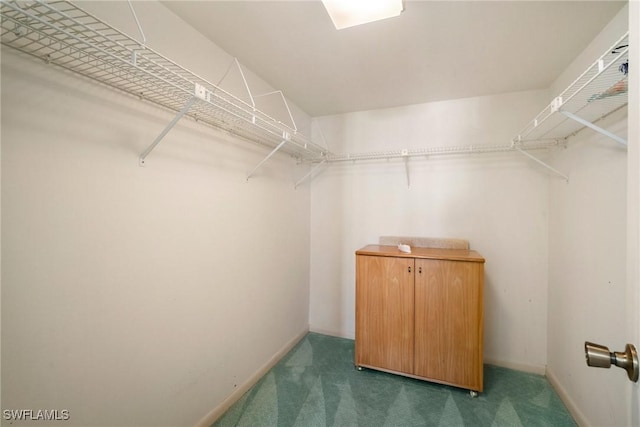 walk in closet featuring dark colored carpet