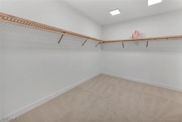 spacious closet featuring light colored carpet