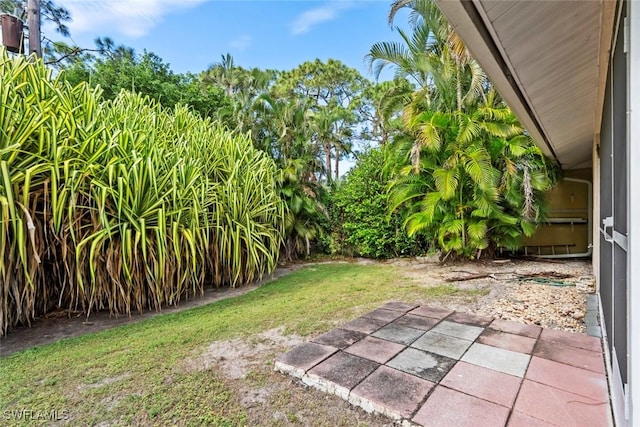 view of yard with a patio