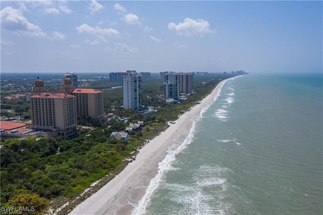 aerial view with a water view and a view of the beach