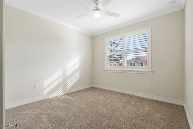 unfurnished room with ceiling fan, carpet floors, and ornamental molding