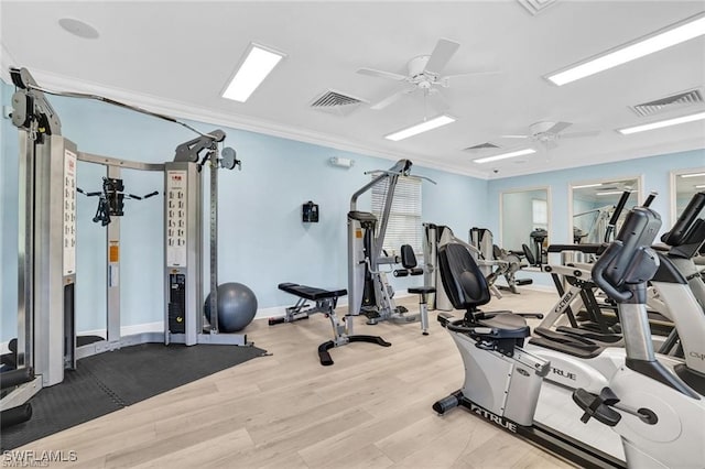 workout area with ceiling fan, light hardwood / wood-style floors, and crown molding