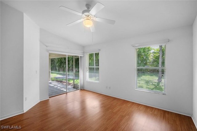 unfurnished room with ceiling fan and wood-type flooring