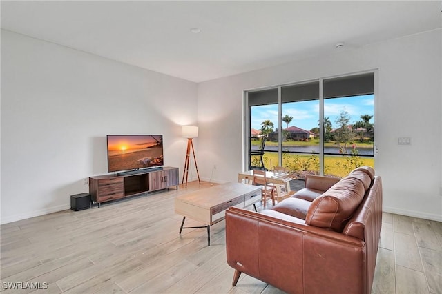 living room with light hardwood / wood-style floors