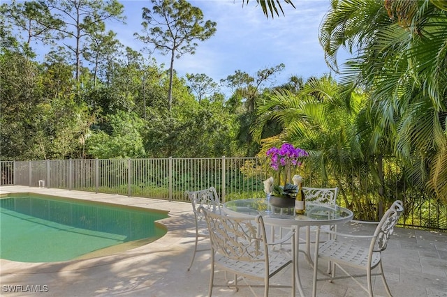 view of swimming pool with a patio area