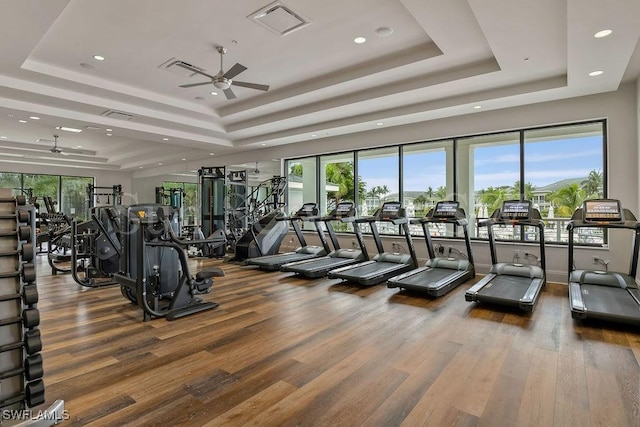 workout area featuring a tray ceiling, ceiling fan, plenty of natural light, and wood-type flooring