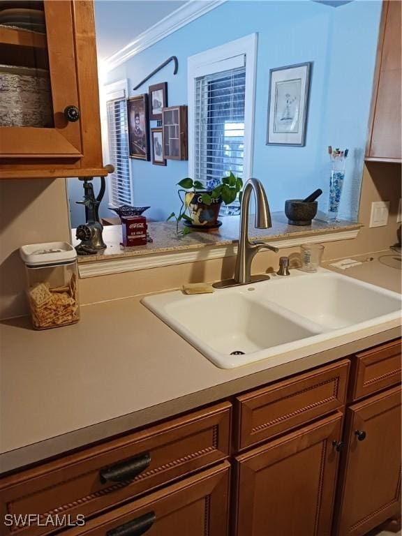 kitchen with sink and crown molding