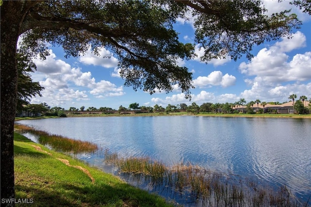 property view of water