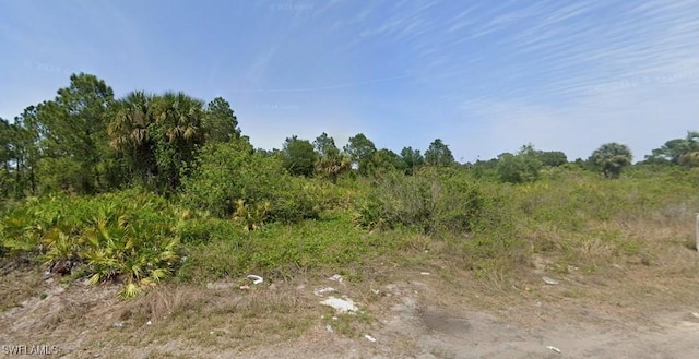 1904 W 11th St, Lehigh Acres FL, 33972 land for sale