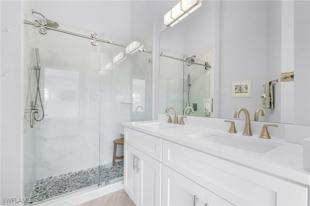 bathroom featuring vanity and a shower with shower door