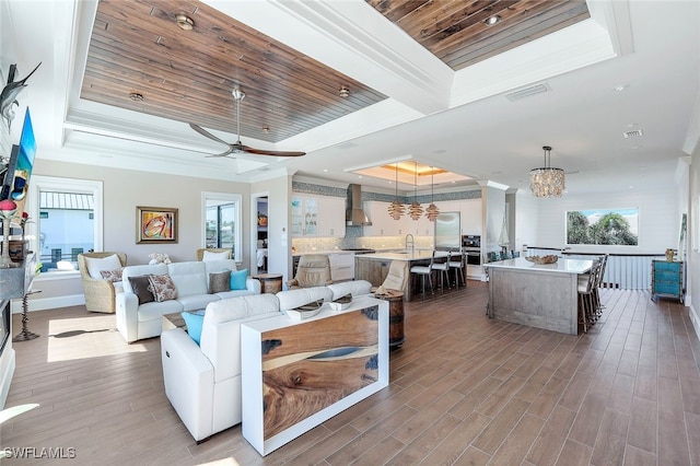 living room featuring plenty of natural light, a tray ceiling, and hardwood / wood-style floors