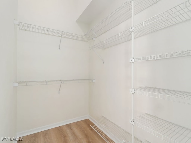 walk in closet with hardwood / wood-style flooring