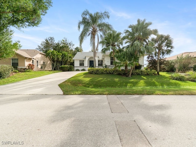 view of front of property featuring driveway and a front lawn