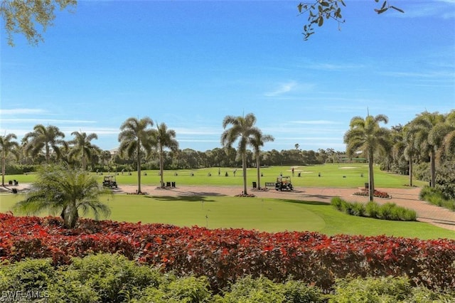 surrounding community with view of golf course and a yard