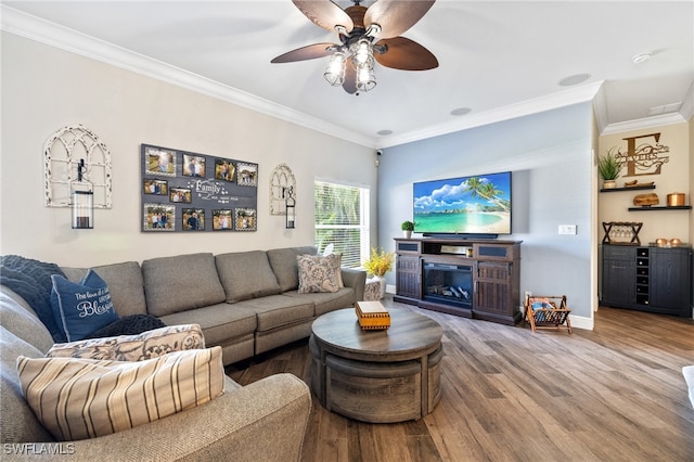 living room featuring ceiling fan, ornamental molding, and hardwood / wood-style floors